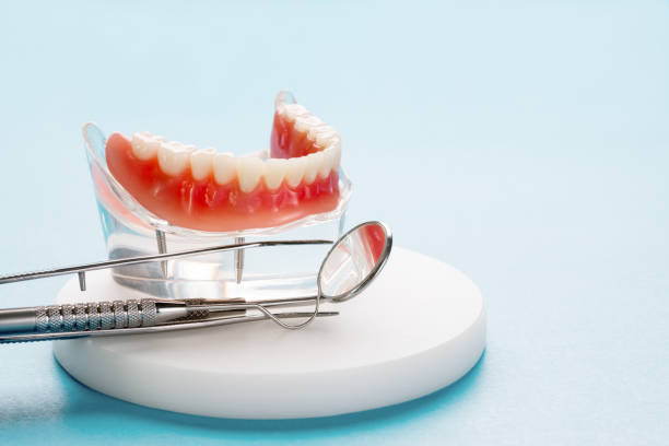 Best Veneers and Lumineers  in Nocatee, FL